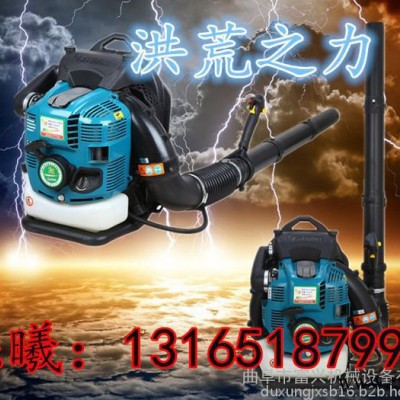 背负式吹风机    汽油吹风机价格 工业吹风机图8