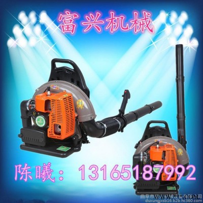 背负式吹风机    汽油吹风机价格 工业吹风机图3
