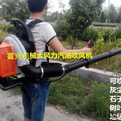 背负式吹风机    汽油吹风机价格 工业吹风机