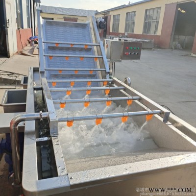 义康牌QX-3000型花椒清洗机  鲜花椒清洗设备 保鲜花椒加工设备 保鲜花椒成套设备图8