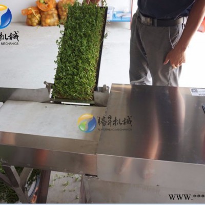 腾昇供应豆芽加工设备 绿豆芽切割机 菜苗豆苗切段机 节省人工图2