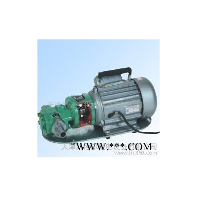 低价现货WCB-30手提式齿轮油泵.油脂泵.泵图3