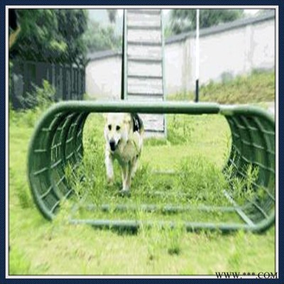 加工比赛警犬障碍器材,训犬障碍设备,搜救犬障碍器械,犬敏捷训练器材图4