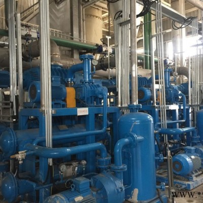 油脂化工行业干式冷凝真空脱臭系统 替代科尔庭蒸汽喷射真空系统