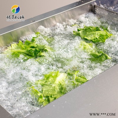 腾昇TS-X200中型洗菜机 自动翻转洗菜机 白菜洗菜机厂家 食品加工设备图7