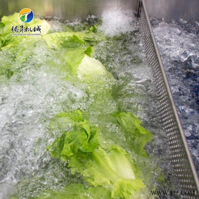 腾昇TS-X200中型洗菜机 自动翻转洗菜机 白菜洗菜机厂家 食品加工设备图8