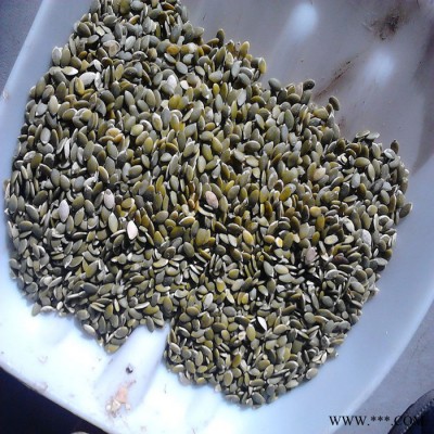 俏牌机械食品果仁加工设备南瓜籽脱壳机 葫芦籽剥壳机组图5