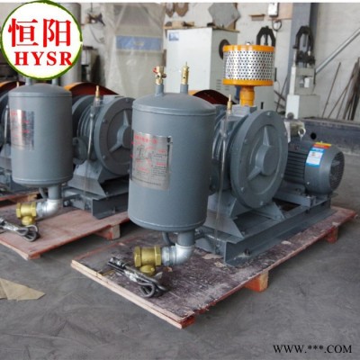 供应恒阳HYSR100罗茨风机\三叶罗茨风机 罗茨风机三叶罗茨风机图2