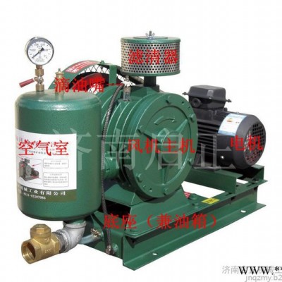 啟正低噪音风机 污水搅拌用回转鼓风机 回旋式风机 价格优惠图2