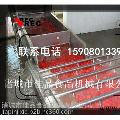 佳品4000洗果机 全自动果蔬清洗流水线 净菜加工设备图3