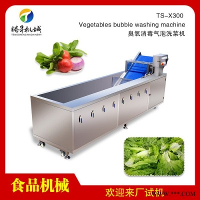 大产量水果清洗加工设备 全自动柑桔快速清洗机视频 柑普茶厂专用 腾昇TS-X300图6
