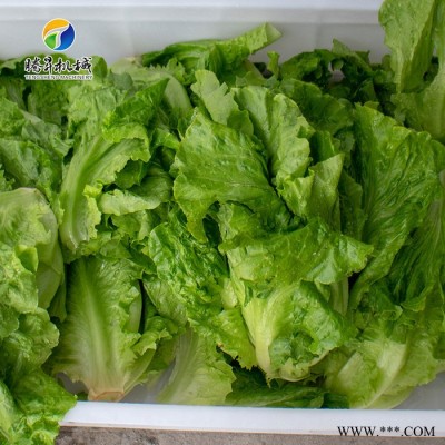 大产量水果清洗加工设备 全自动柑桔快速清洗机视频 柑普茶厂专用 腾昇TS-X300图2
