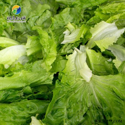 大产量水果清洗加工设备 全自动柑桔快速清洗机视频 柑普茶厂专用 腾昇TS-X300图3