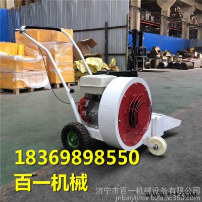 折扣小型路面吹风机  手推式吹风机 地面吹风机价格图2