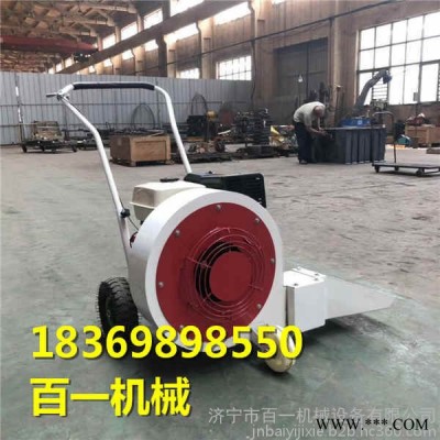 折扣小型路面吹风机  手推式吹风机 地面吹风机价格图4