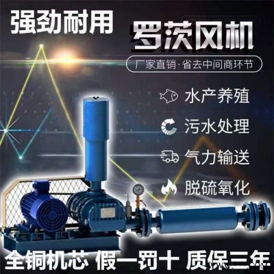 罗茨风机型号输送设备 罗茨风机生产基地 低噪音罗茨鼓风机  罗茨风机图2