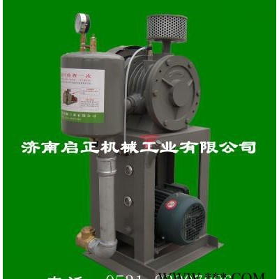 供应启正低噪音风机曝气风机 回转式鼓风机图2