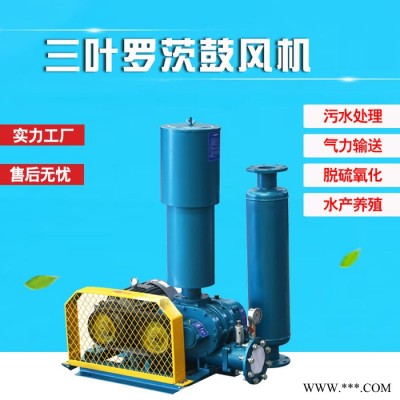 耐高温罗茨风机  章丘罗茨风机 可非标定做 罗茨风机结构图图4
