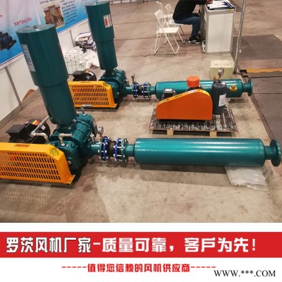 耐高温罗茨风机  章丘罗茨风机 可非标定做 罗茨风机结构图