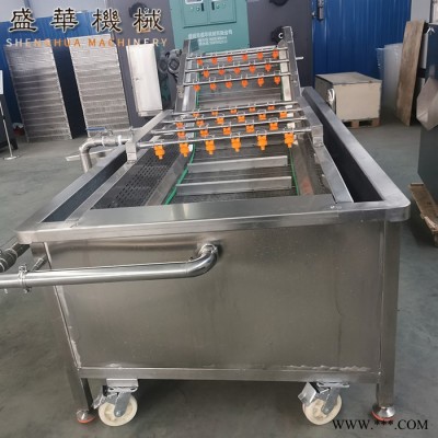 厂家精选空心菜翻浪清洗机 酸菜气泡清洗机 果蔬加工设备图3