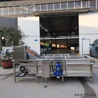 厂家精选空心菜翻浪清洗机 酸菜气泡清洗机 果蔬加工设备图5