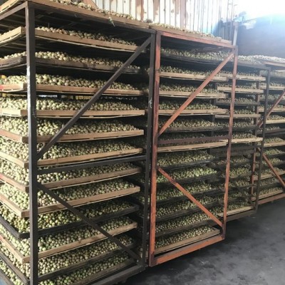 瑞姆RMRB-FTHG 果蔬烘干设备 果脯加工 干果坚果烘干 专业烘干热泵厂家图5