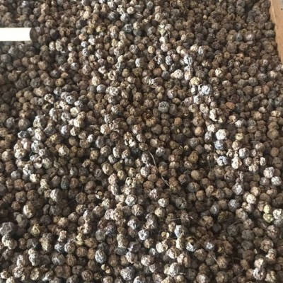 瑞姆RMRB-FTHG 果蔬烘干设备 果脯加工 干果坚果烘干 专业烘干热泵厂家