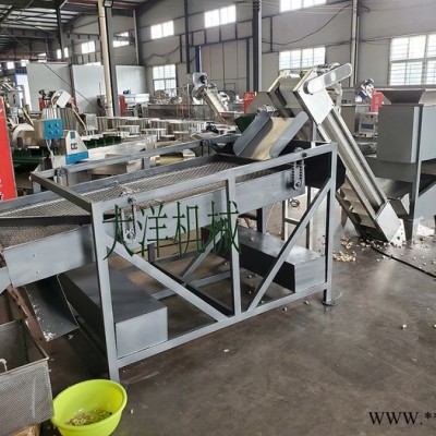 大洋牌经济实惠款蒜头破瓣分选设备 畅销的蒜种加工生产线图8
