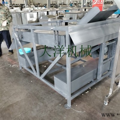 大洋牌经济实惠款蒜头破瓣分选设备 畅销的蒜种加工生产线图4
