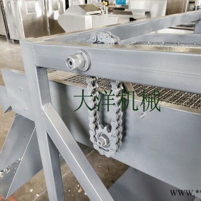 大洋牌经济实惠款蒜头破瓣分选设备 畅销的蒜种加工生产线图6