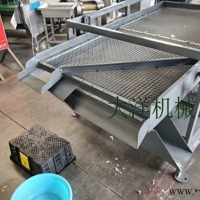 大洋牌经济实惠款蒜头破瓣分选设备 畅销的蒜种加工生产线图5