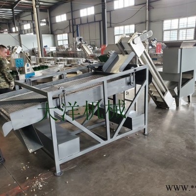 大洋牌经济实惠款蒜头破瓣分选设备 畅销的蒜种加工生产线图3