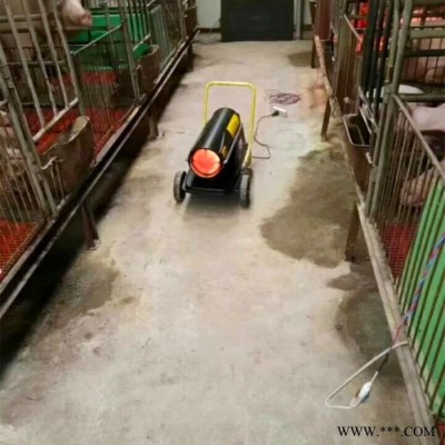 农田果园热风机  小型家用动力暖风机  育雏效果热风机  取暖热风机图5