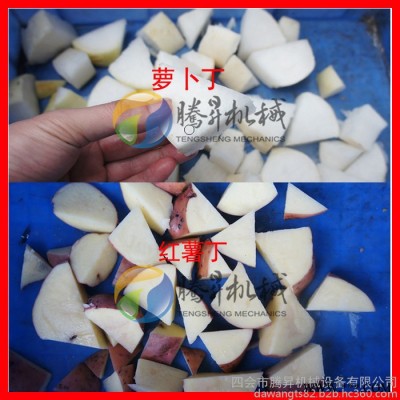 腾昇TS-Q180S大型果蔬加工设备 大型自动切丁机 加大型瓜果切丁机 大产量高效图3