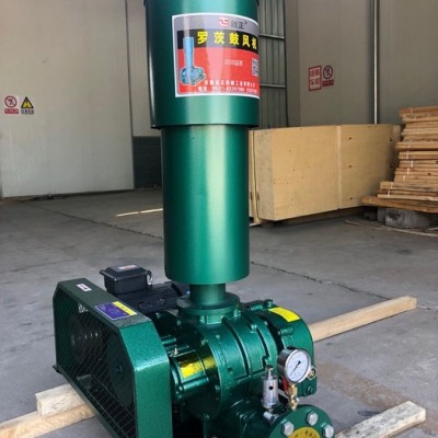 啟正CCR 环保罗茨风机 化工用罗茨鼓风机 除灰用罗茨鼓风机 冶炼用罗茨风机图2