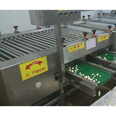 【支持定制】食品加工设备出口蒜米分三级挑选机分级机滚杠式图1