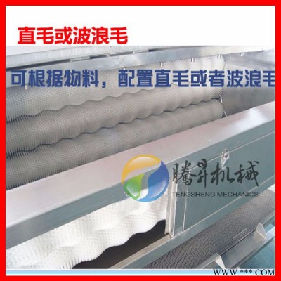 腾昇TS-M800薯类加工机器 大型红薯清洗去皮机 马铃薯清洗去皮机厂家 薯类加工设备图3