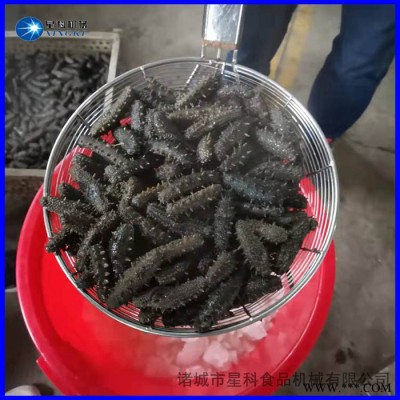 星科供用海参真空脉动熟化机 海参加工酶化设备 全自动海参酶化锅图5