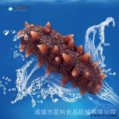 星科供用海参真空脉动熟化机 海参加工酶化设备 全自动海参酶化锅