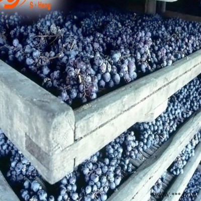 葡萄烘干机的加工工艺_新款小型烘干设备图4