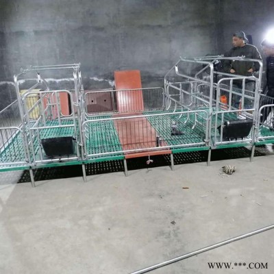 长风 母猪产床 自焊母猪产床 养猪设备母猪产床 加工定制厂家崇左图1