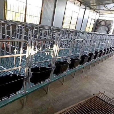 长风 母猪产床 自焊母猪产床 养猪设备母猪产床 加工定制厂家崇左图8