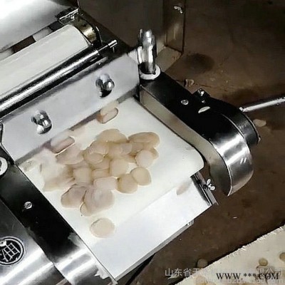 虾片加工设备图4