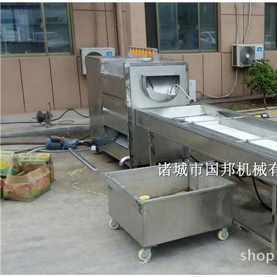 速冻薯条流水线  国邦 薯片油炸设备 加工定制图1