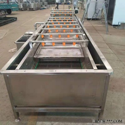 鼎鸿QX-3000型 苦菜气泡清洗机 荠菜气泡清洗加工设备 香菇清洗流水线图7