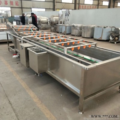 鼎鸿QX-3000型 苦菜气泡清洗机 荠菜气泡清洗加工设备 香菇清洗流水线图1