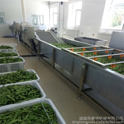鼎鸿QX-3000型 苦菜气泡清洗机 荠菜气泡清洗加工设备 香菇清洗流水线图3