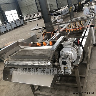 鑫邦达XBD-5000商用蔬菜气泡清洗机 自动辣椒枸杞橘子果蔬清洗设备 净菜加工流水线图2