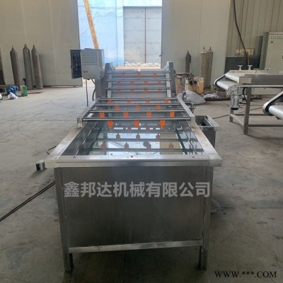 鑫邦达XBD-5000商用蔬菜气泡清洗机 自动辣椒枸杞橘子果蔬清洗设备 净菜加工流水线图3