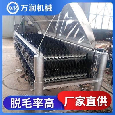 万润机械鸽子脱毛设备 大型家禽屠宰脱毛加工 卧式脱毛机价格图1
